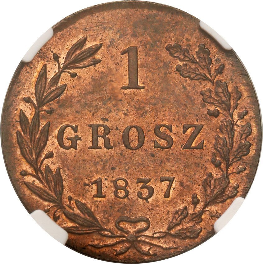 Polska XlX w. / Rosja. Mikołaj I. 1 grosz 1837 MW, Warszawa NGC MS65 RB (MAX)